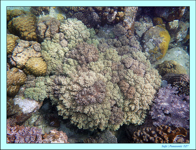 2012 - 07 - Apoh Island 49